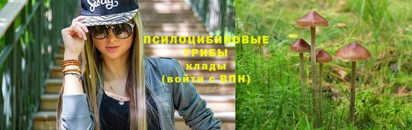 ешки Красноперекопск